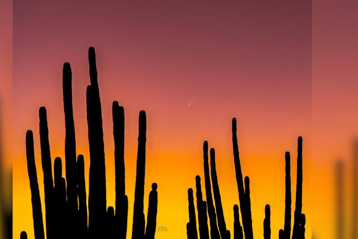 Podrá observarse “Cometa del Siglo” dos semanas más