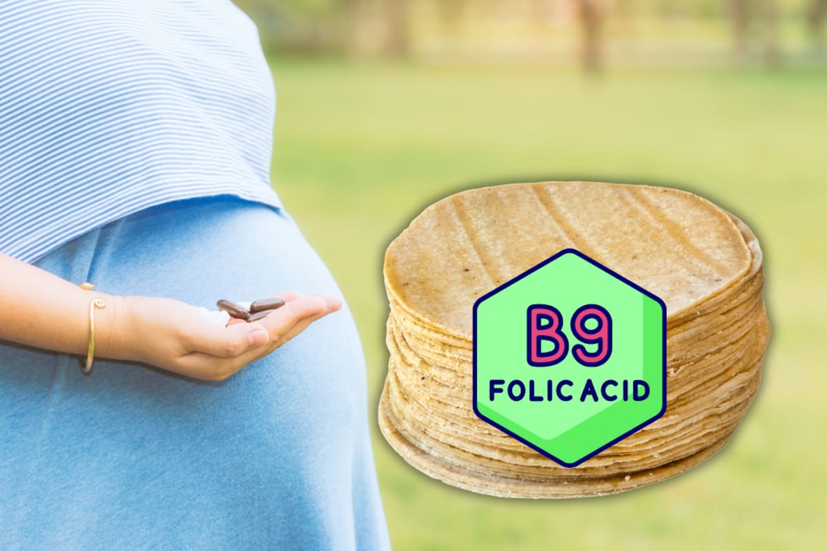 Nueva ley en California exige agregar ácido fólico a tortillas; la medida busca prevenir defectos congénitos en bebés latinos