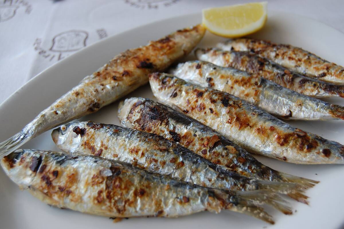 Conoce los beneficios de comer sardinas en esta Cuaresma
