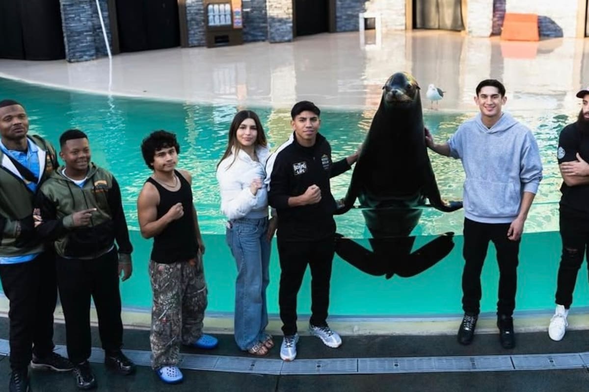 Adrián ‘Ratón’ Torres peleará en función de boxeo profesional en Sea World