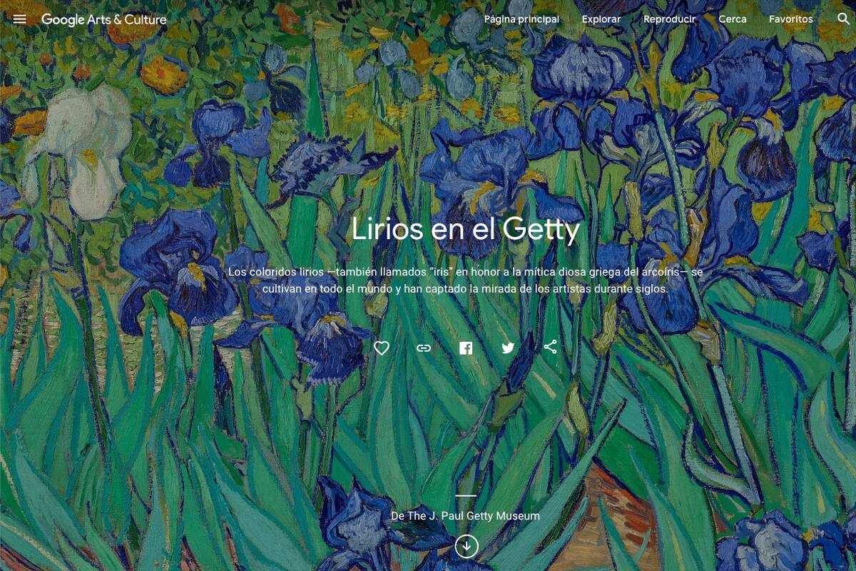 Las exposiciones en línea del Getty en Google Arts & Culture ahora están disponibles en español