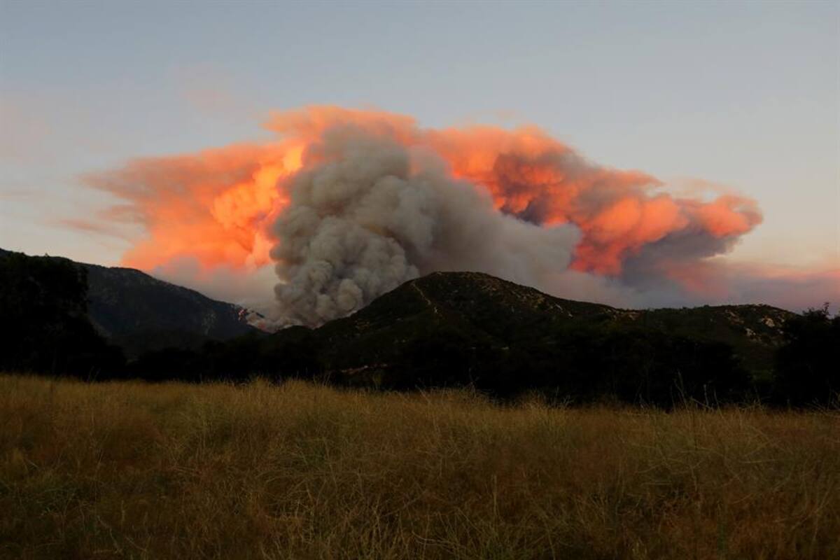 Evacuan a casi 8 mil personas debido a incendio forestal cerca de Los Ángeles