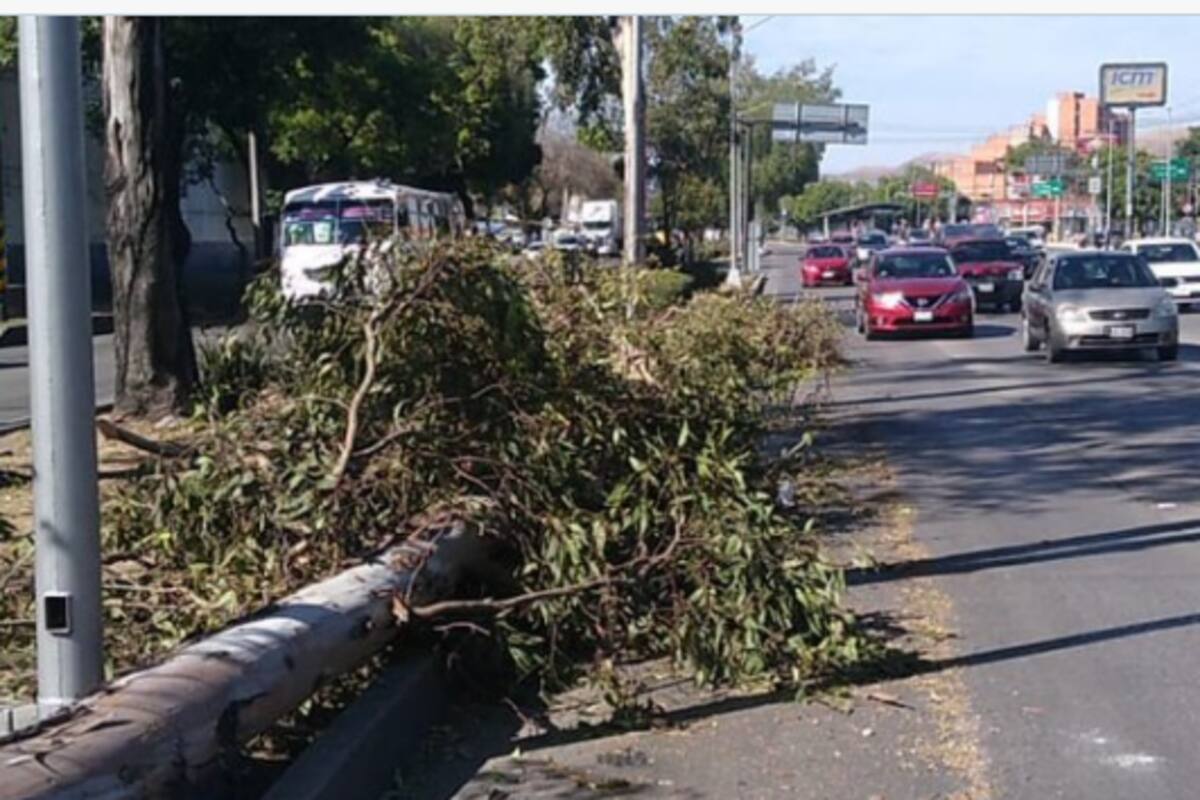 Activan alerta naranja y amarilla por vientos fuertes en la CDMX