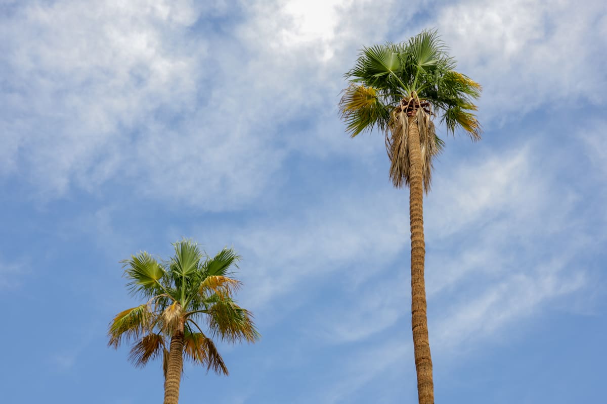 Mexicali iniciará septiembre con calor, pero las temperaturas bajarán gradualmente hacia el fin de semana