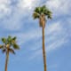 Mexicali iniciará septiembre con calor
