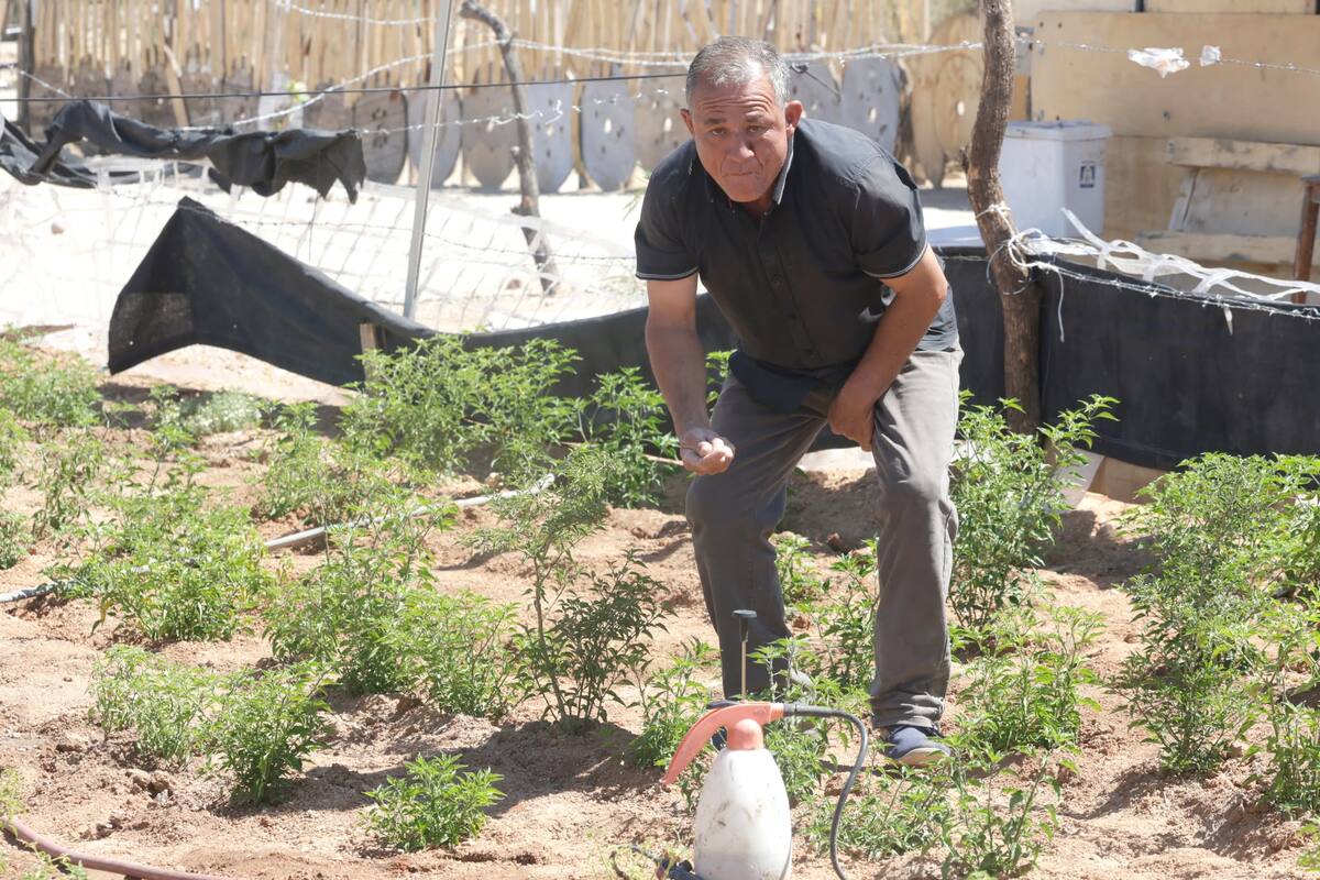 Foto: Teodoro Borbón.