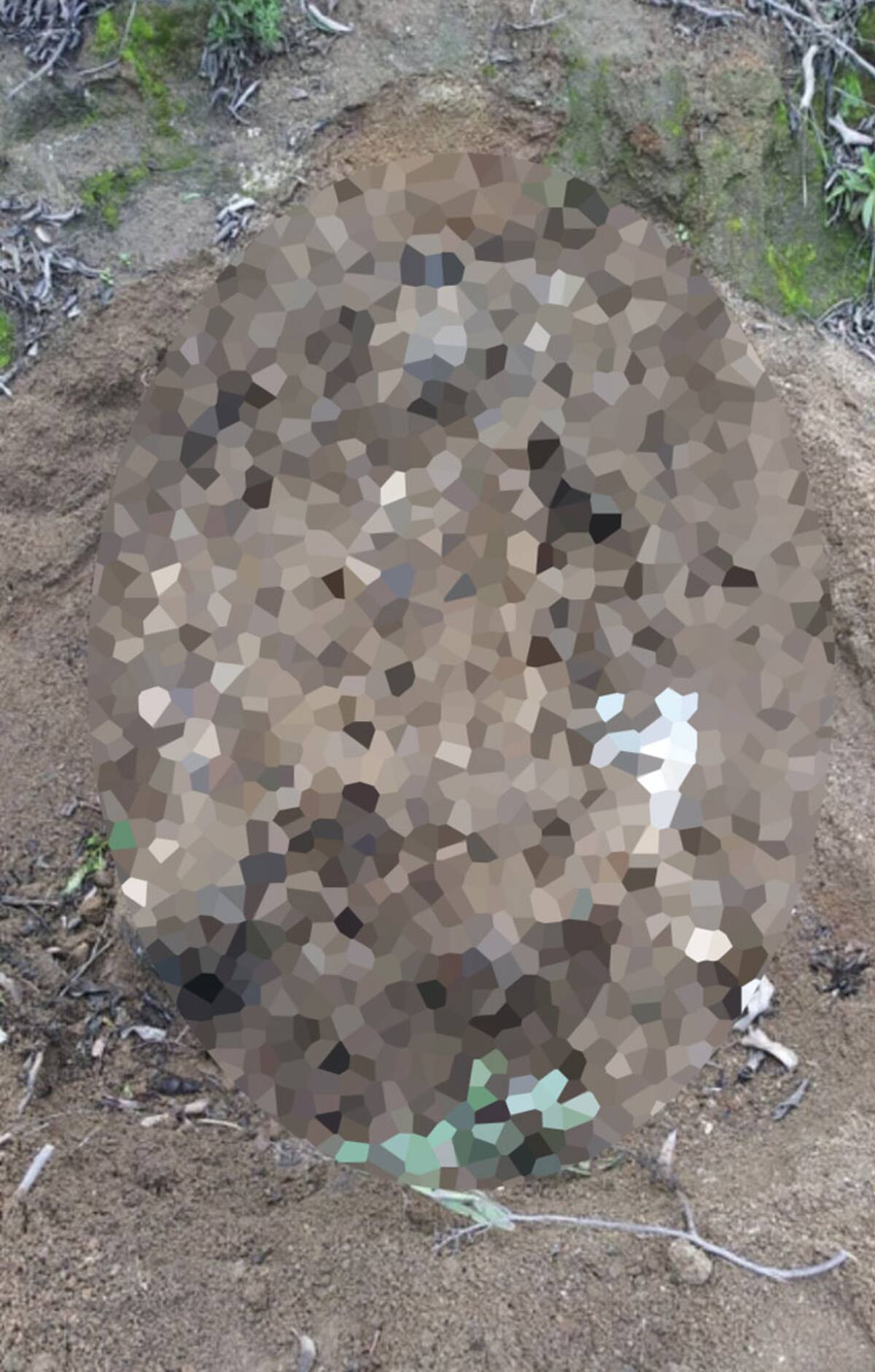 Hallazgo de cuerpos en Hacienda las Delicias III.