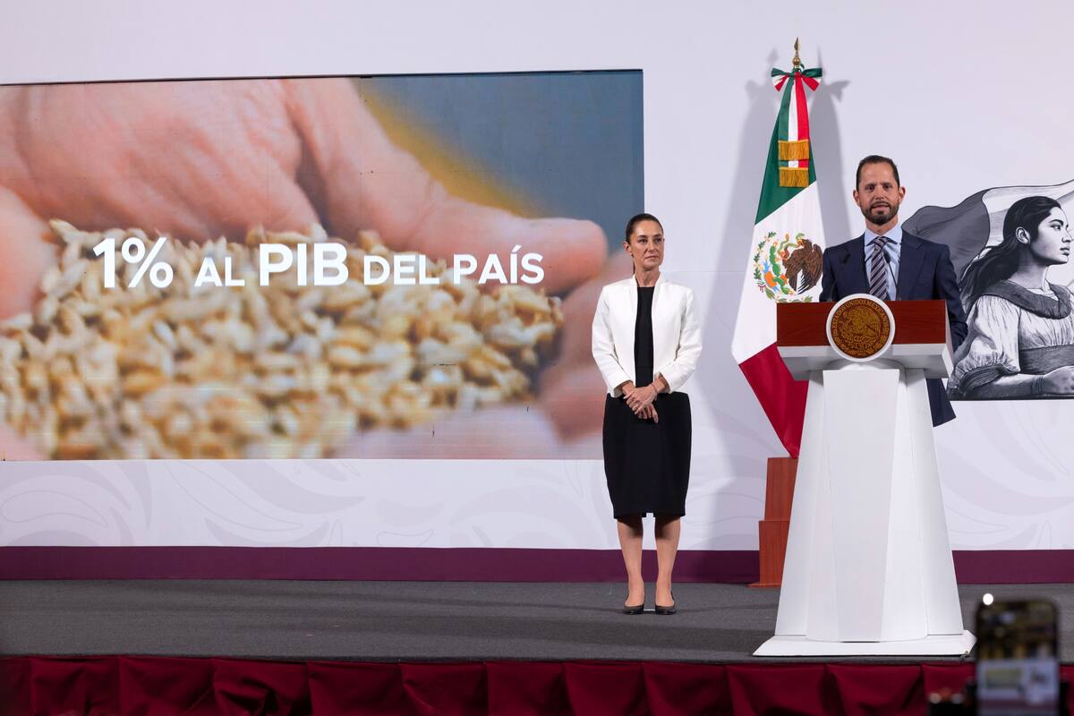 Grupo Modelo apuesta por México con inversión de 3,600 mdd. | Crédito: Presidencia