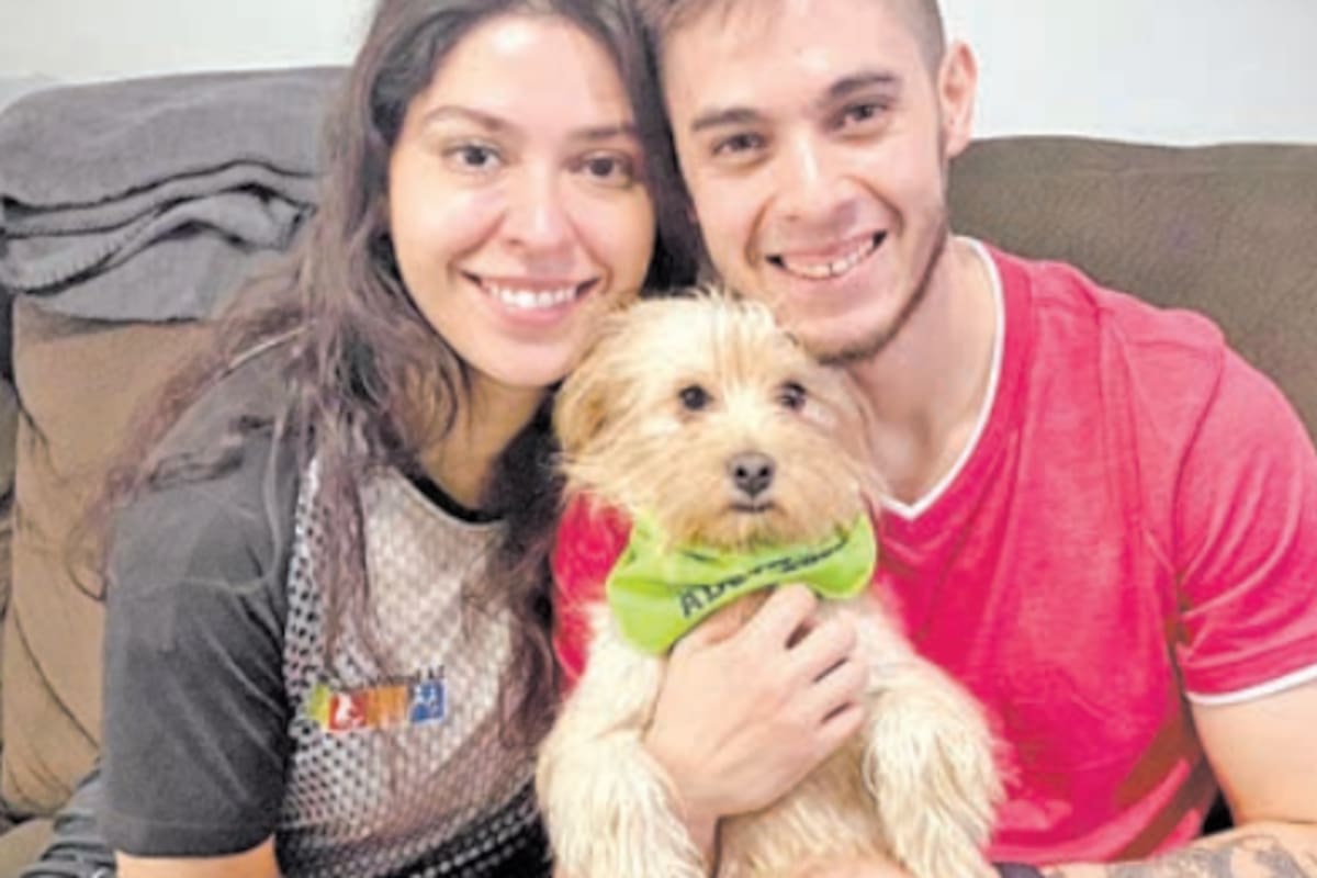 ¿Qué tan frecuente se debe bañar a los perros?