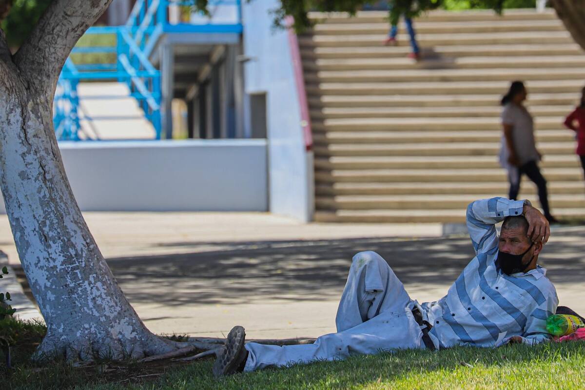 Habrá alza importante de temperatura