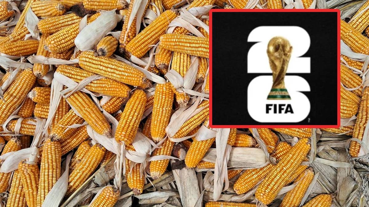 A protestar en las sedes mundialistas amenazan productores de Sinaloa sino consiguen ajustes en los precios del maíz