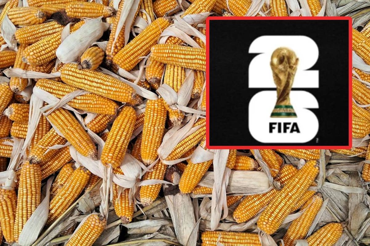 A protestar en las sedes mundialistas amenazan productores de Sinaloa sino consiguen ajustes en los precios del maíz