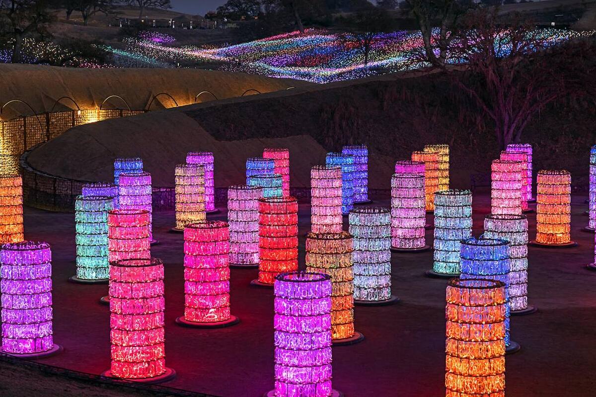 Vive una experiencia multisensorial en San Luis Obispo