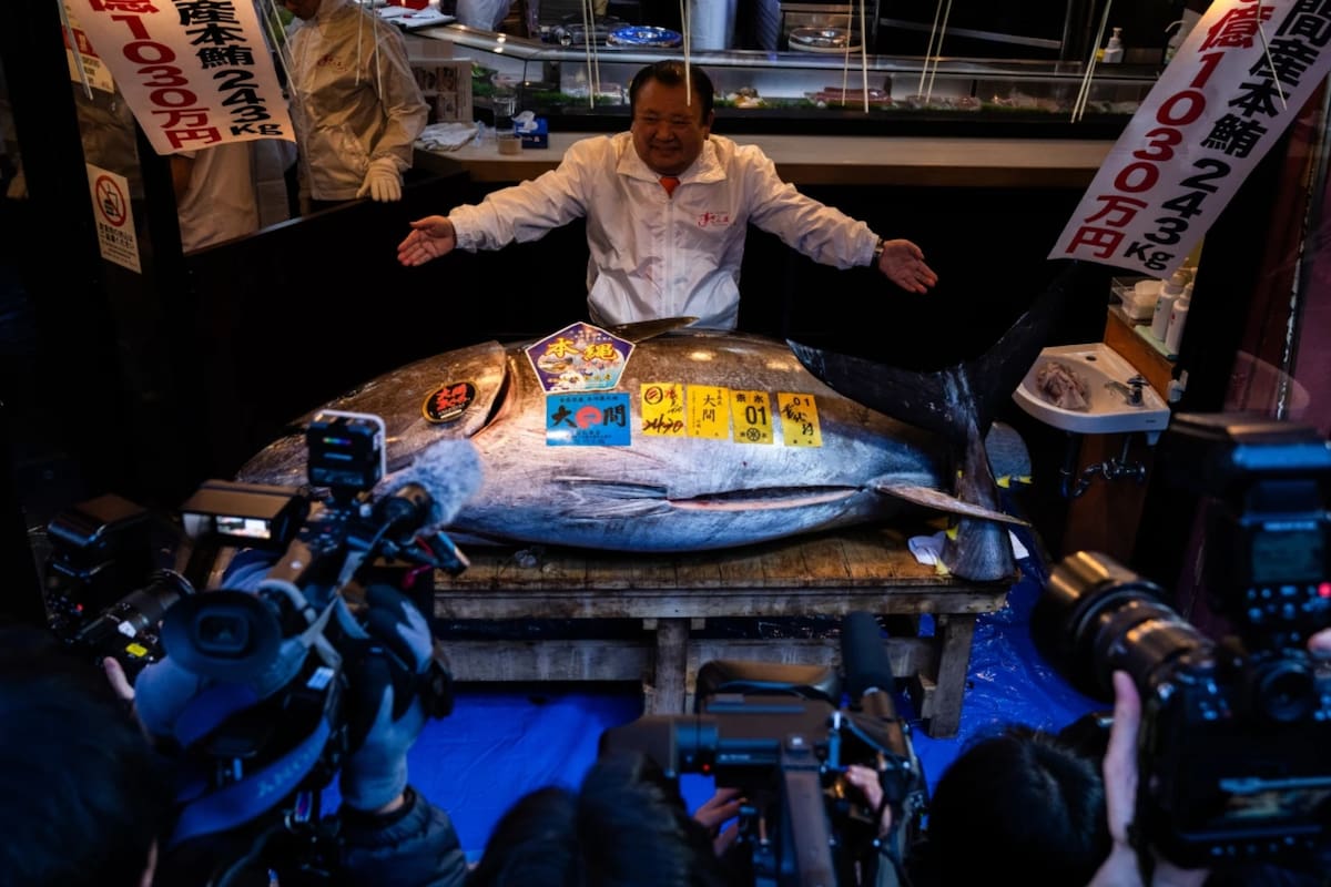 Atún aleta azul se vende en 3.2 millones de dólares en Tokio y rompe récord histórico: qué explica el precio, de dónde viene y por qué esta subasta marca el inicio del año en Japón