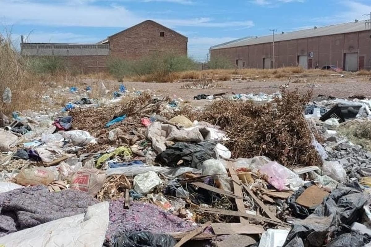 En Ciudad Obregón convierten espacios públicos en basureros clandestinos