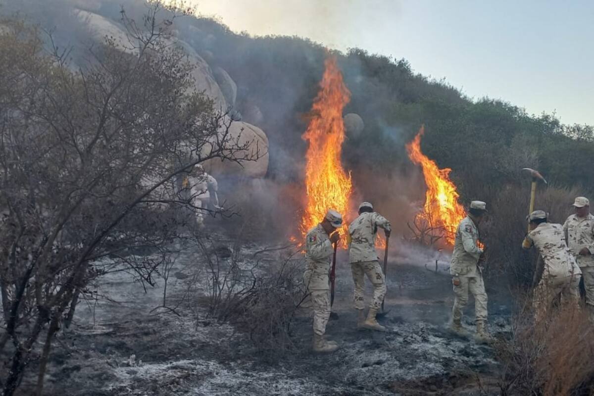Ejército Mexicano participa en la sofocación de un incendioforestal en Tecate, B.C.