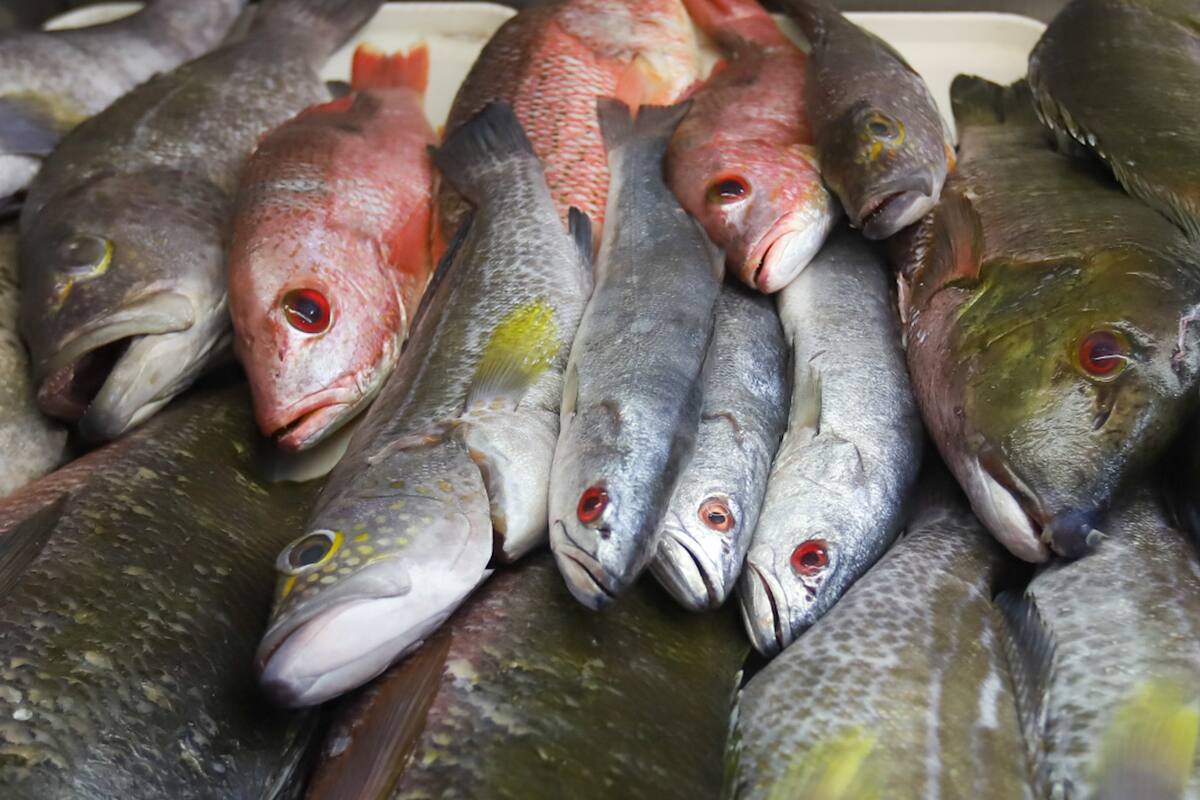 Hoteles, restaurantes, pescaderías y supermercados son beneficiados por Semana Santa