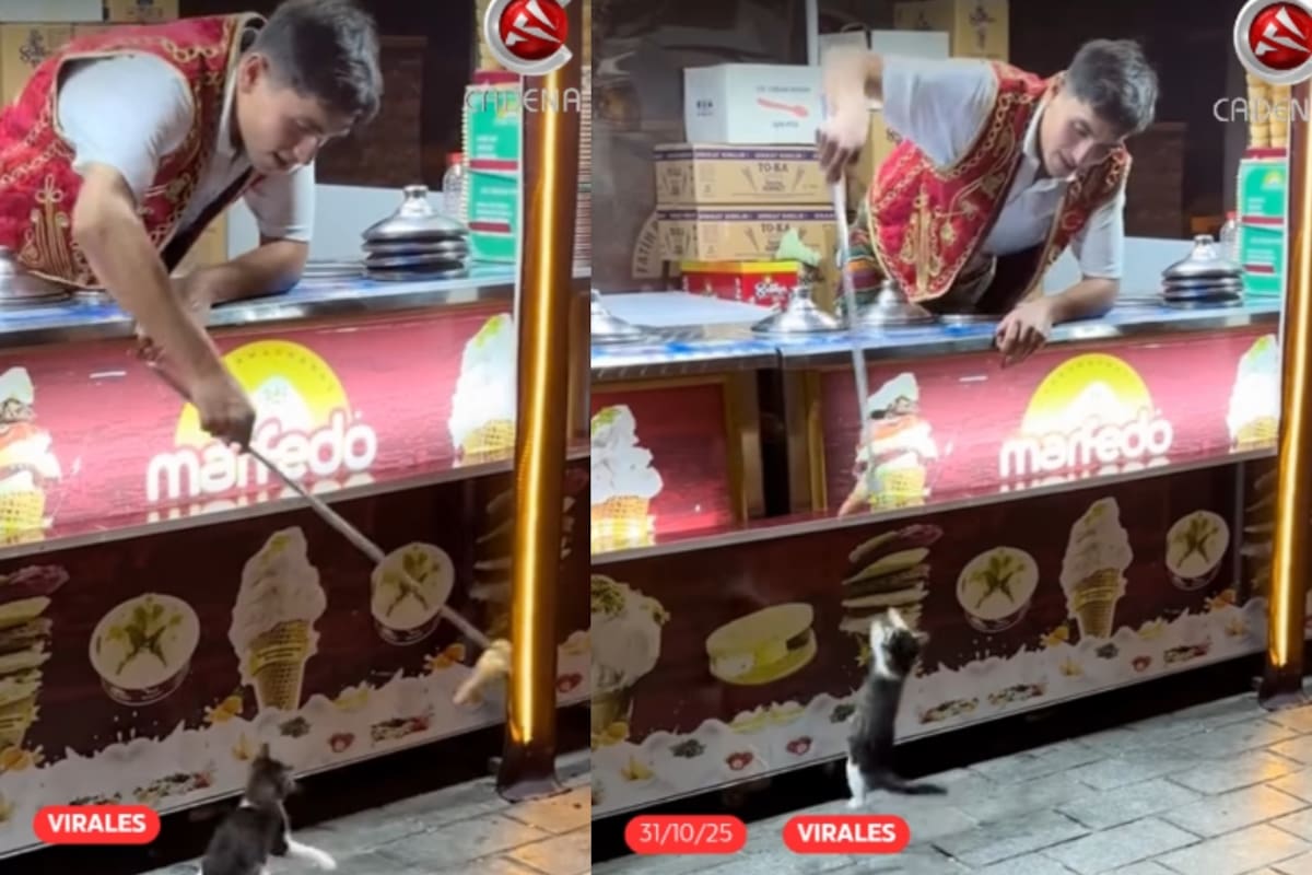 “Pero le hubiese dado un poco de helado al final”: vendedor turco se hace viral al intentar su clásico truco con un pequeño gatito