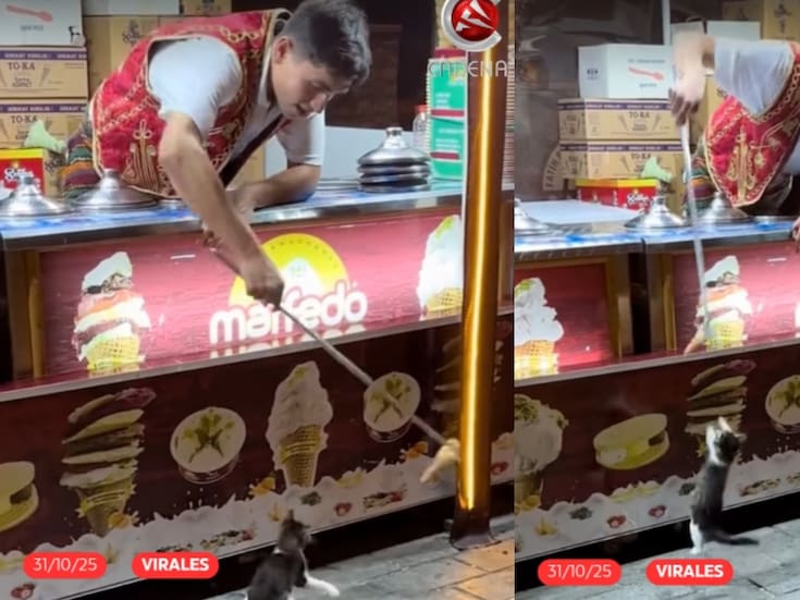 “Pero le hubiese dado un poco de helado al final”: vendedor turco se hace viral al intentar su clásico truco con un pequeño gatito