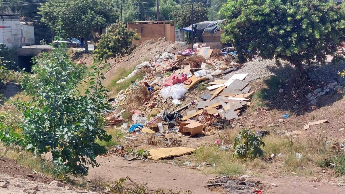 Foto: Carmen Gutiérrez