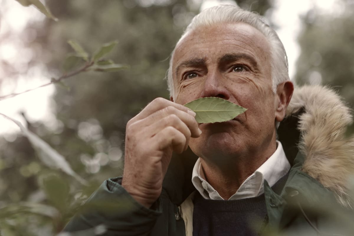 ¿A qué se debe el “olor a viejo”? Una experta explica su origen y cómo combatirlo con un superalimento