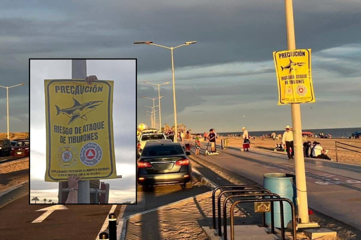 Colocan señalamientos de precaución en Huatabampito tras avistamiento de tiburón