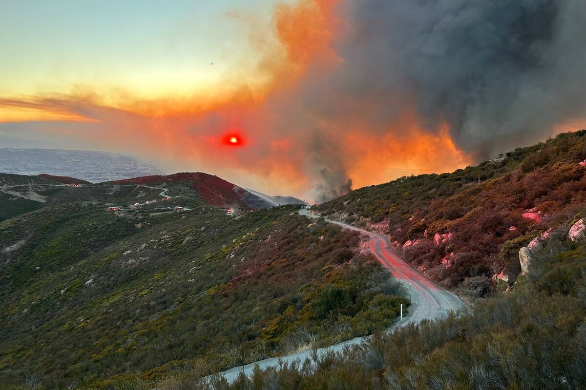 Crece incendio en montaña de Otay a 228 acres, cero controlado