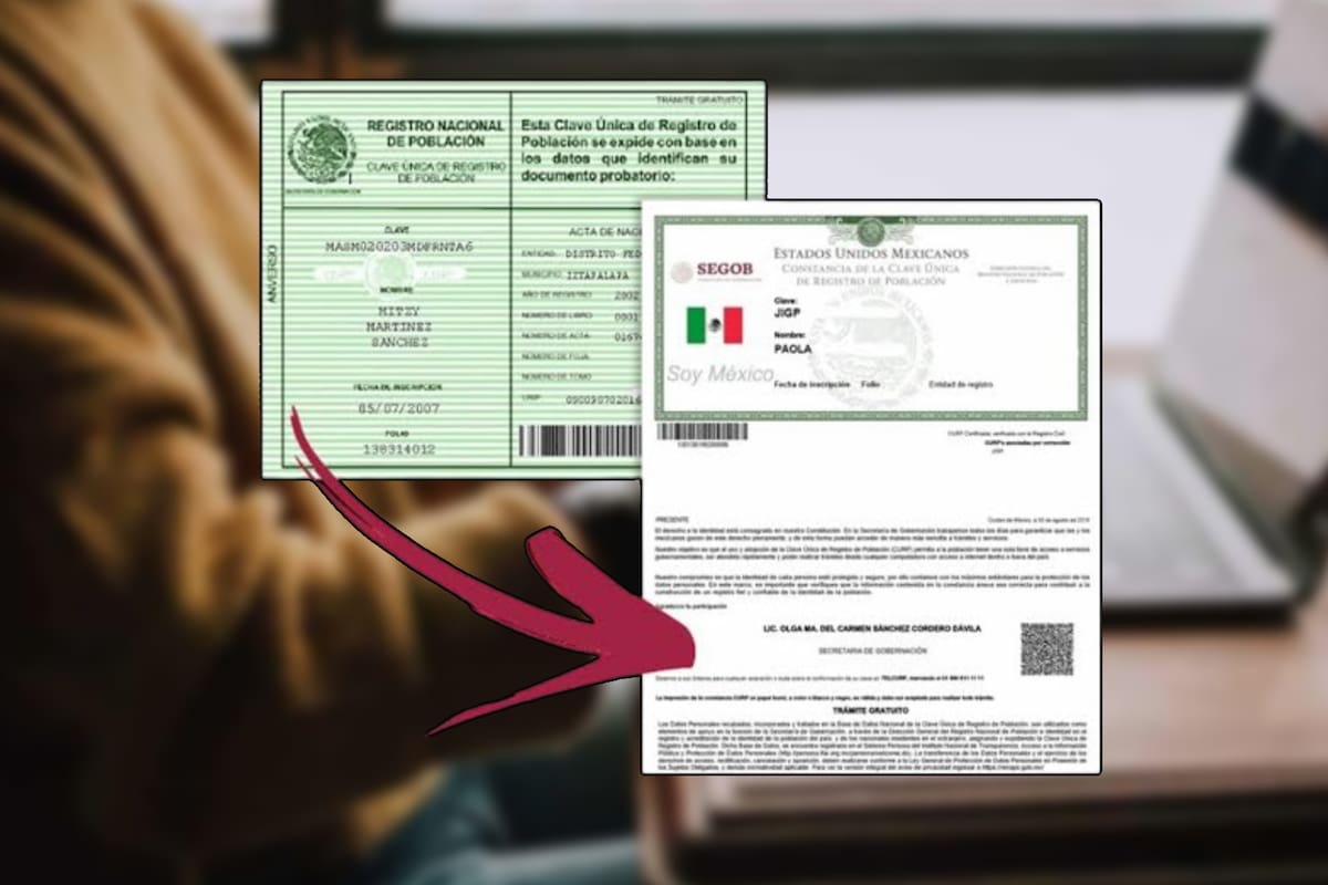¿Cómo descargar tu CURP gratis desde Internet?
