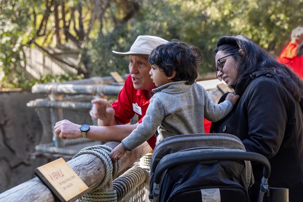 Entrada gratis para mayores de 65 años en San Diego Safari Park durante febrero
