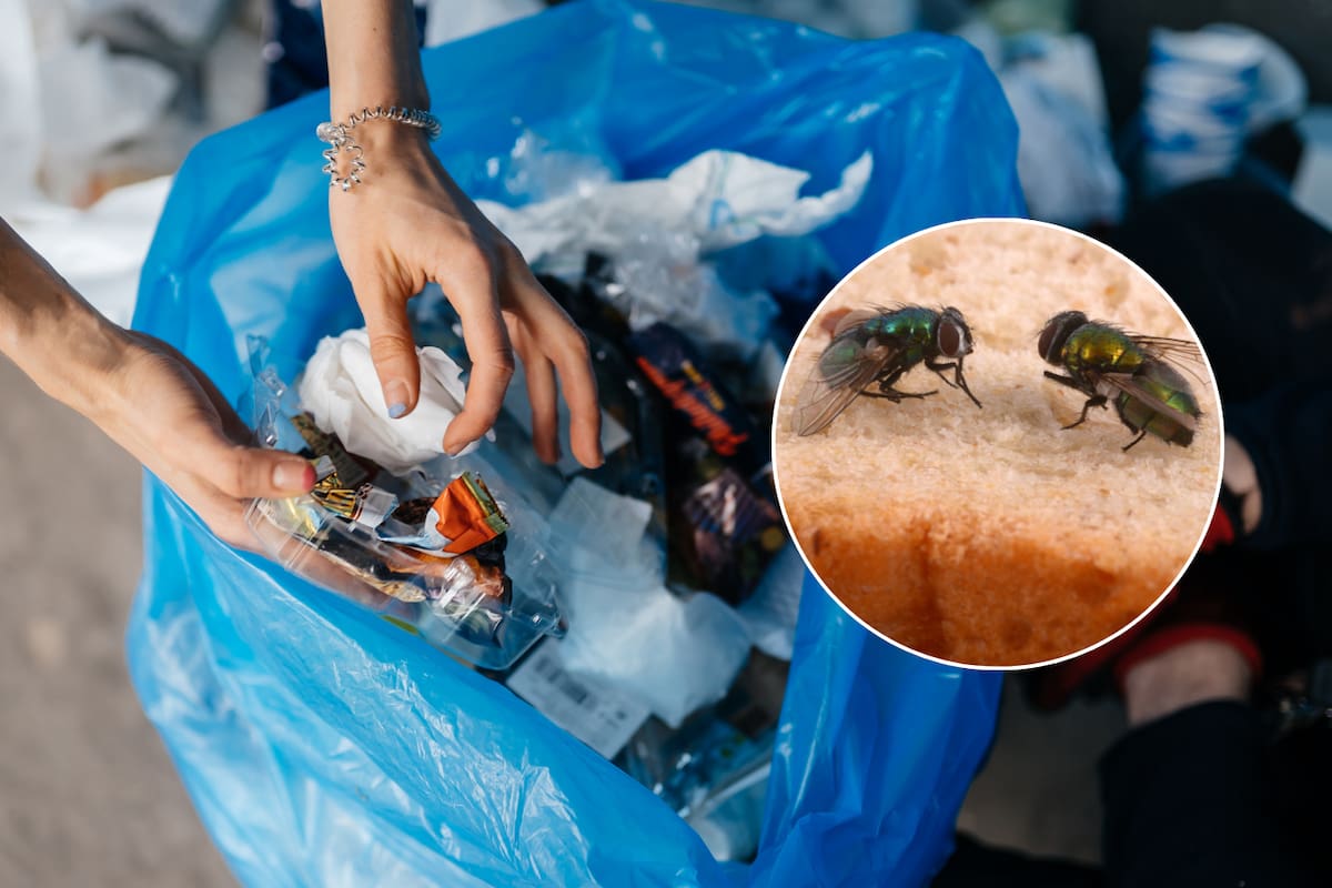 Vivir cerca de basureros clandestinos puede causar graves enfermedades, alerta infectólogo