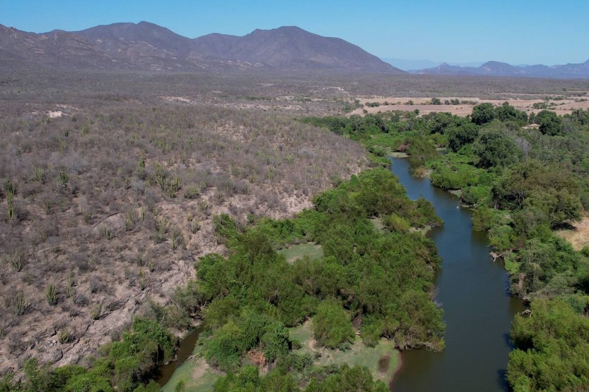 Piden Mayos avances en plan de justicia que incluye tierras