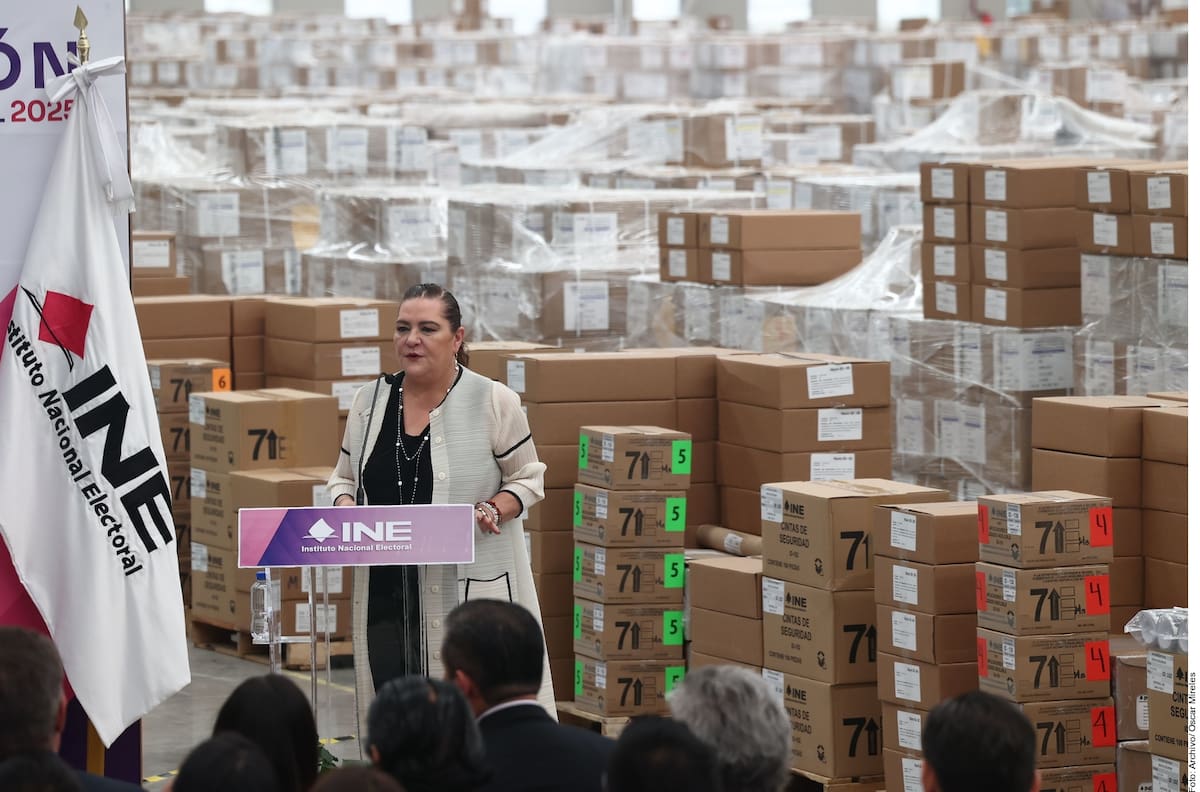 Guadalupe Taddei Zavala, presidenta del INE. Foto: Especial