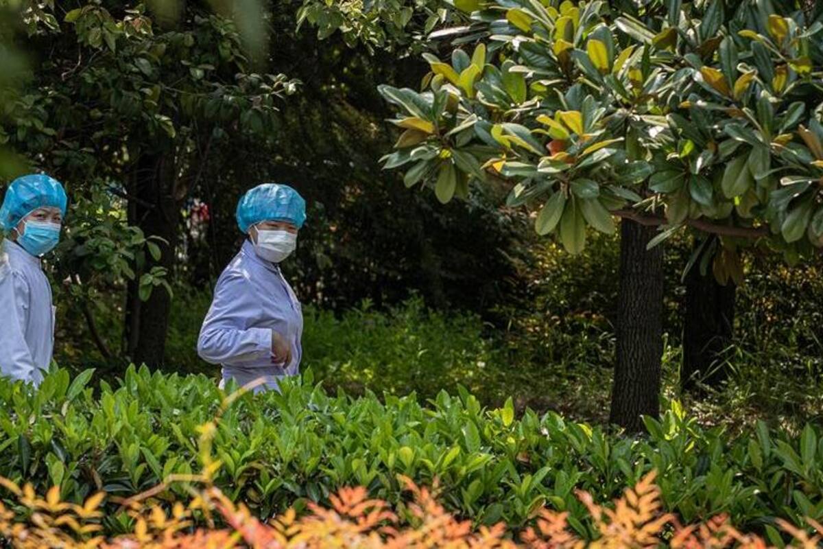 Recupera Wuhan su estilo de vida aún con fuertes medidas preventivas