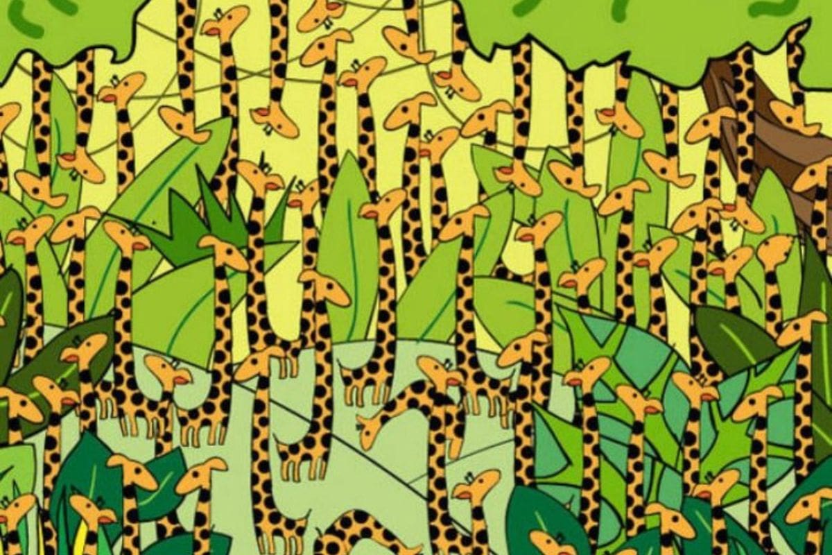 Acertijo visual: ¿Puedes encontrar la serpiente entre las jirafas en menos de 7 segundos?