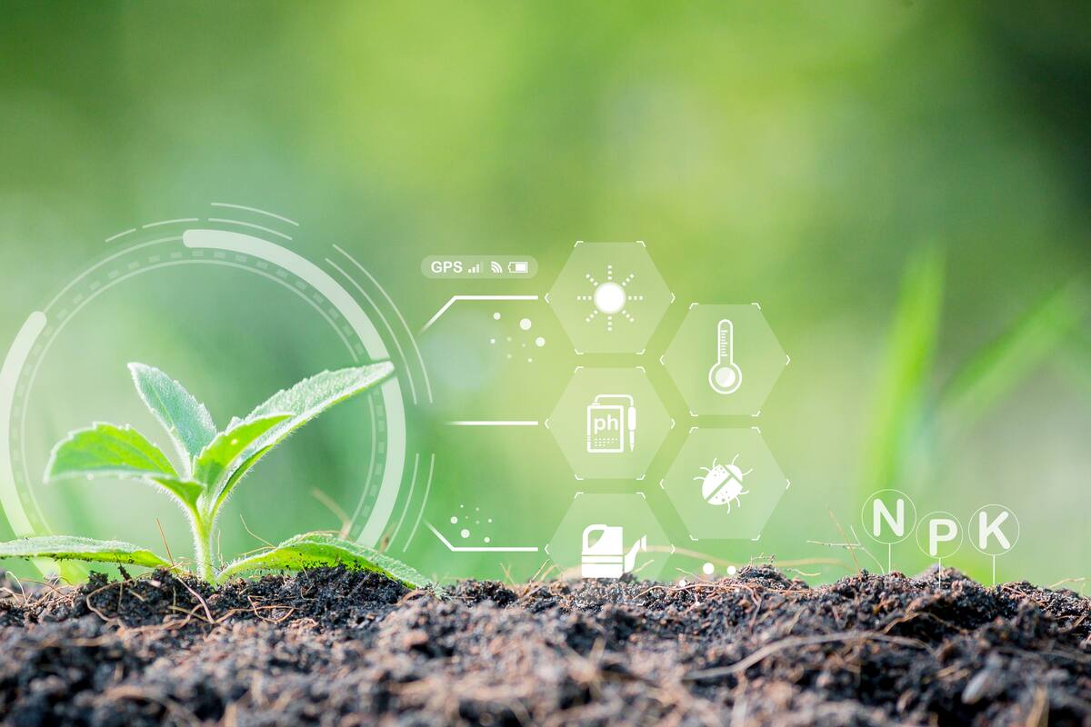 Usan IA para mejorar proyecciones meteorológicas