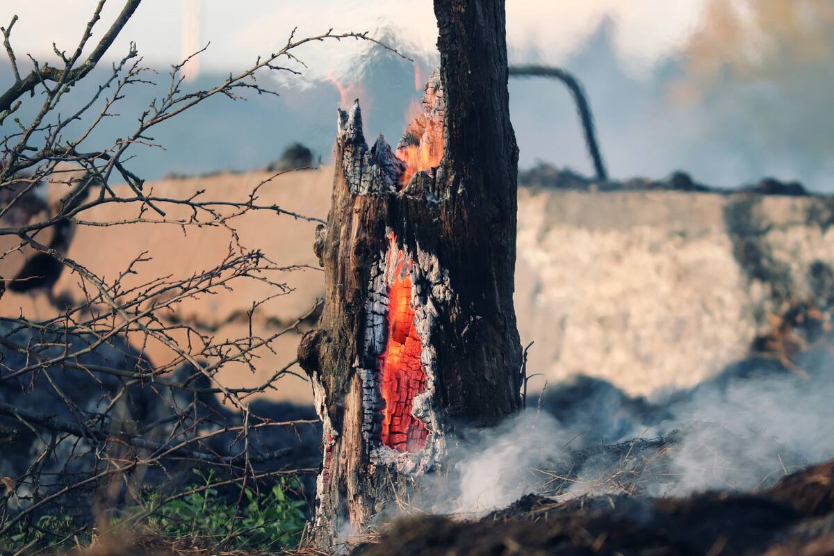 Un incendio provocó el inicio del apagón en el País, explica CFE