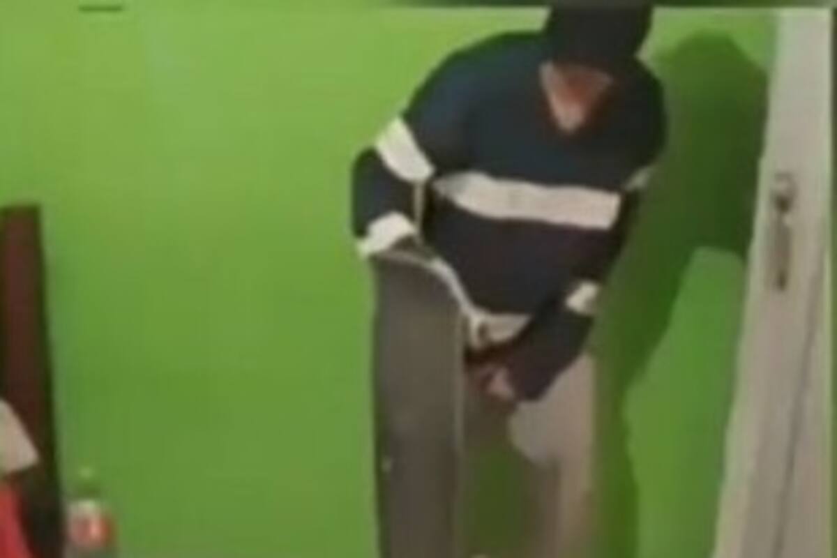 Perro lanzando machetazos a su dueño y se hace viral