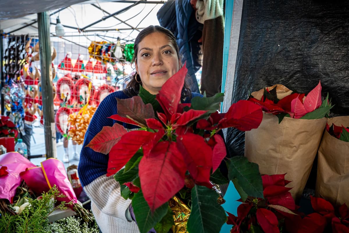 Floristas de la zona Centro reportan poca demanda de Nochebuena y afectaciones en el suministro por los recientes bloqueos carreteros. Fotos: Border Zoom
