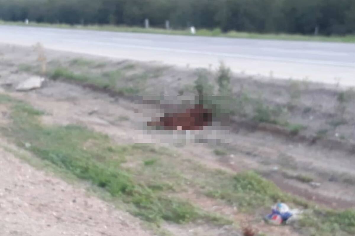 Mueren madre e hija al ser arrolladas en tramo Navojoa-Estación Don
