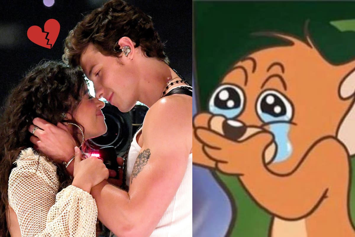 ¿Se acabó el amor? Camila Cabello y Shawn Mendes anuncian su separación