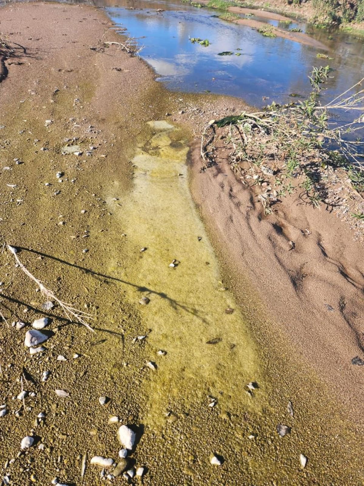 Autoridades federales recorren la cuenca del río Sonora y toman muestras de suelo y sedimentos para ubicar posibles zonas contaminadas. | Foto: Semarnat México