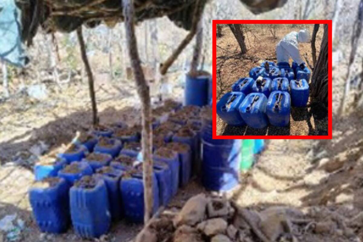 Autoridades desmantelan 7 laboratorios clandestinos en Sinaloa