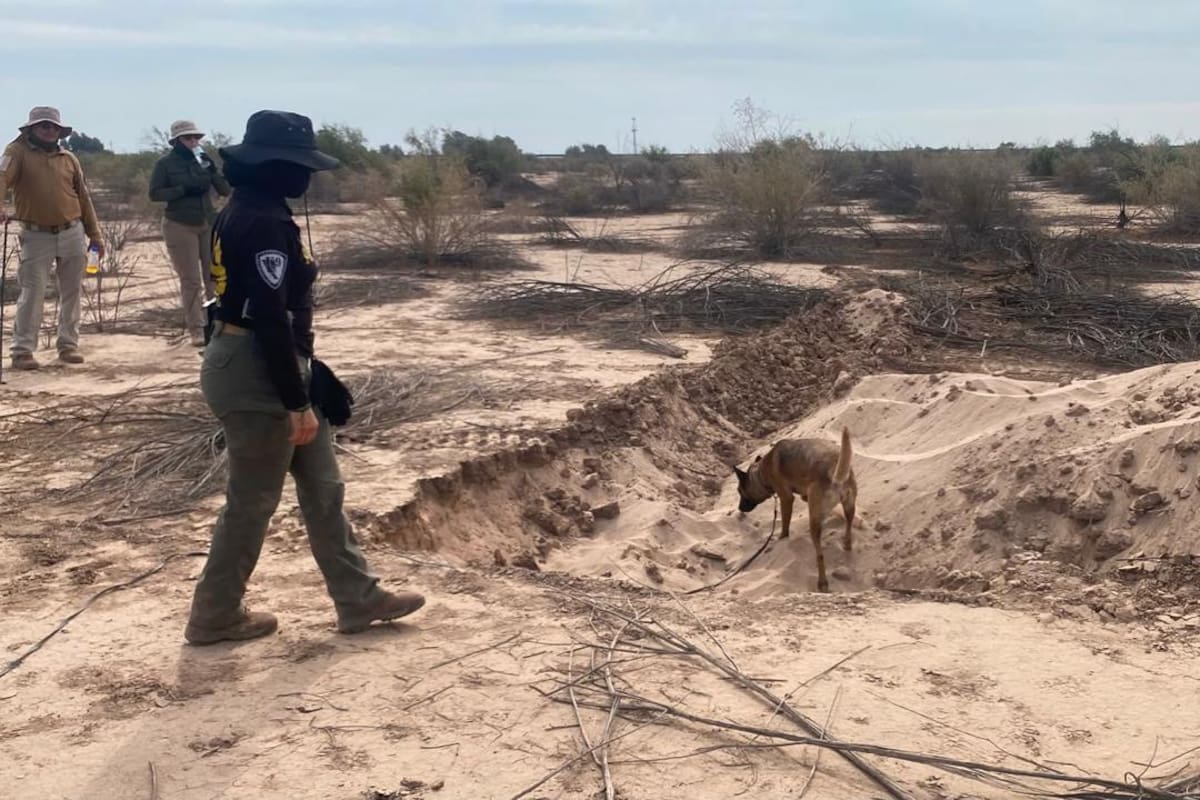Realizan búsqueda de personas desaparecidas en la zona norte de la Laguna Salada