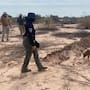 Realizan búsqueda de personas desaparecidas en la zona norte de la Laguna Salada