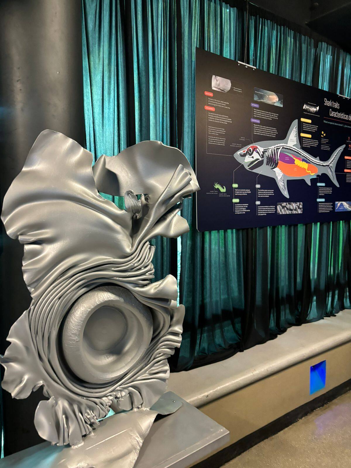 Foto: Lorena Salinas