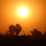 San Luis Río Colorado enfrentará otra semana de calor extremo; temperaturas rondarán los 45 grados