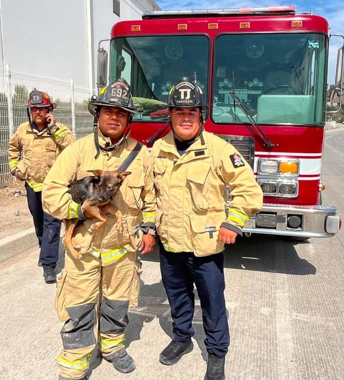 Elementos de Bomberos auxiliaron a una perrita que quedó atrapada en una alcantarilla de la colonia Leandro Valle; ahora buscan un hogar para ella.
Foto:Cortesía.