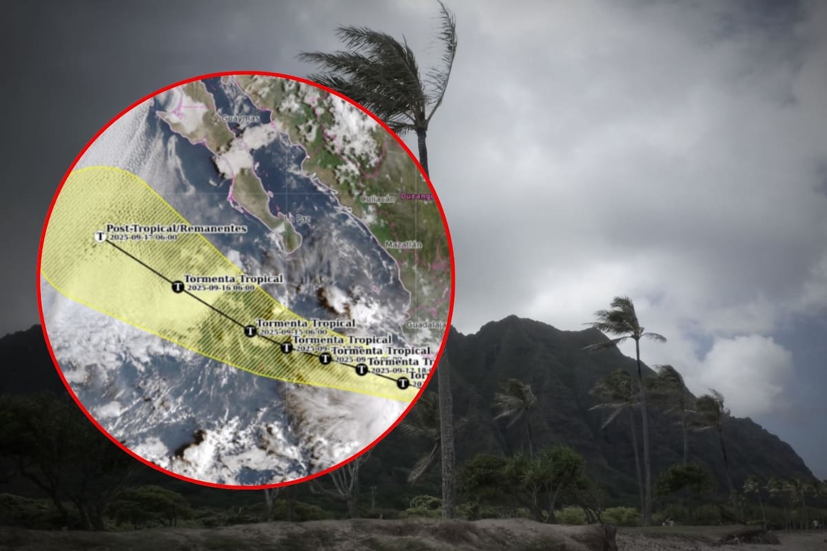Ya llegó ‘Mario’: SMN confirma formación de la Tormenta Tropical y esta será su trayectoria