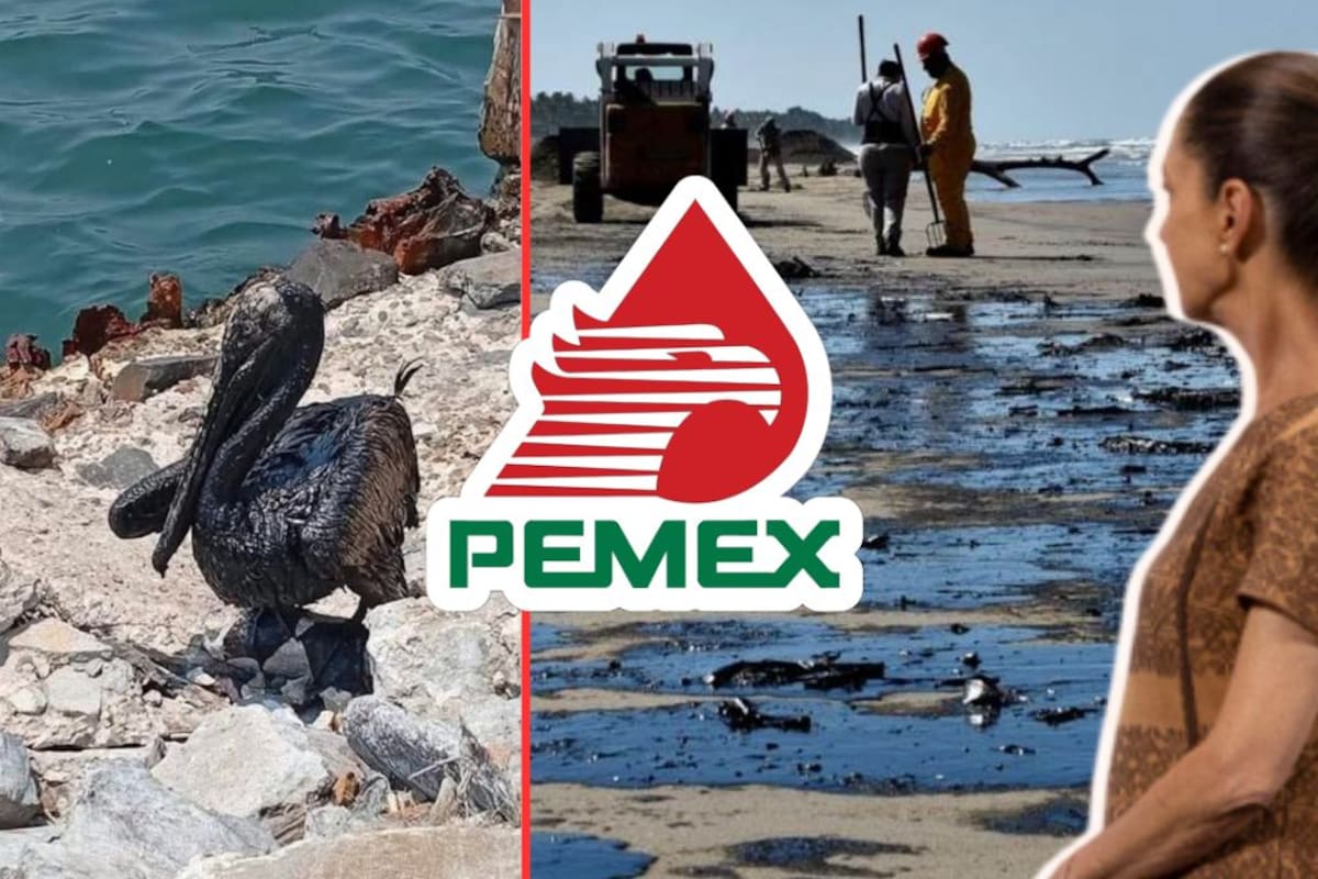 Sheinbaum confirma que derrame de Pemex en Tabasco fue de 300 barriles; informa avances en limpieza y promete apoyo a pescadores