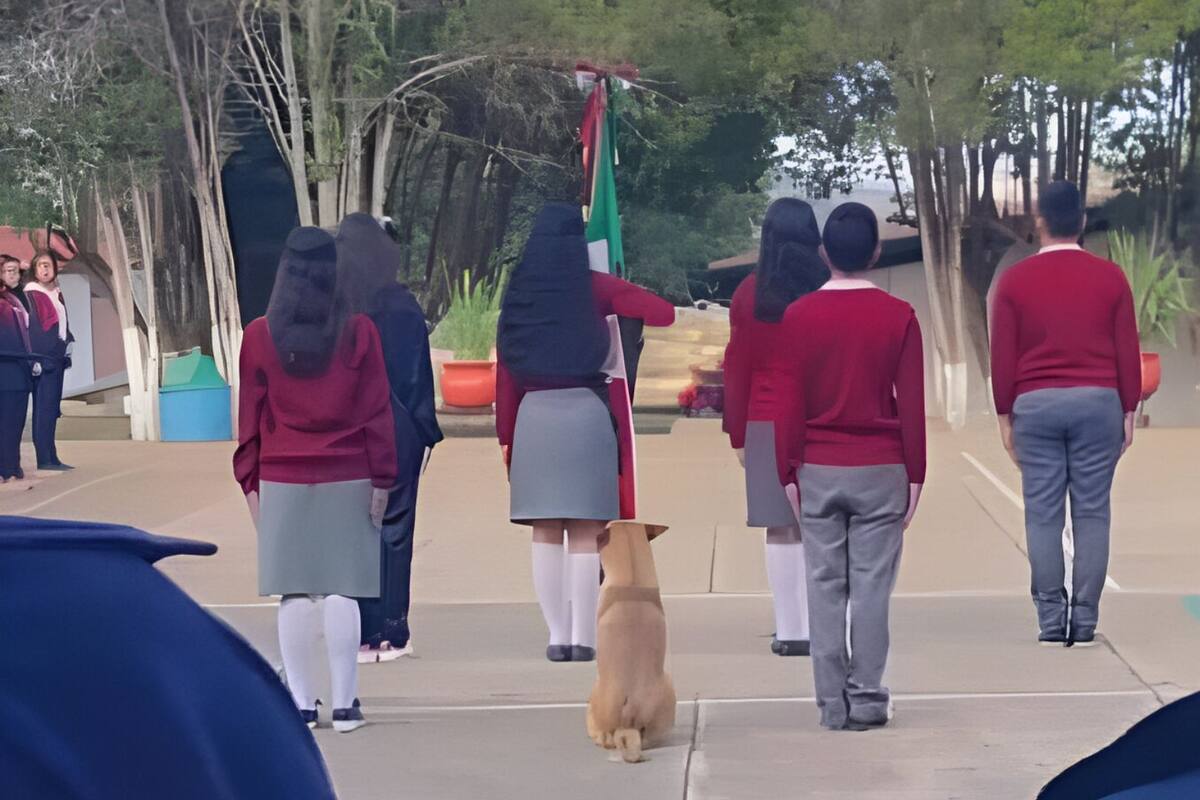 VIDEO: Escuela adopta a perrito que conquistó las redes por marchar junto a los alumnos en la escolta